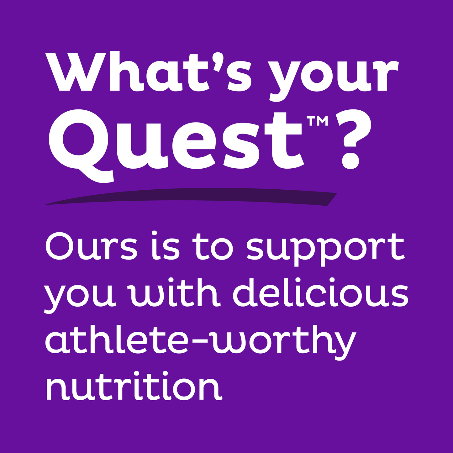 double-chocolate-chunk-protein-bars-c4 qst-000241_double-chocolate-chunk-protein-bars_9.png